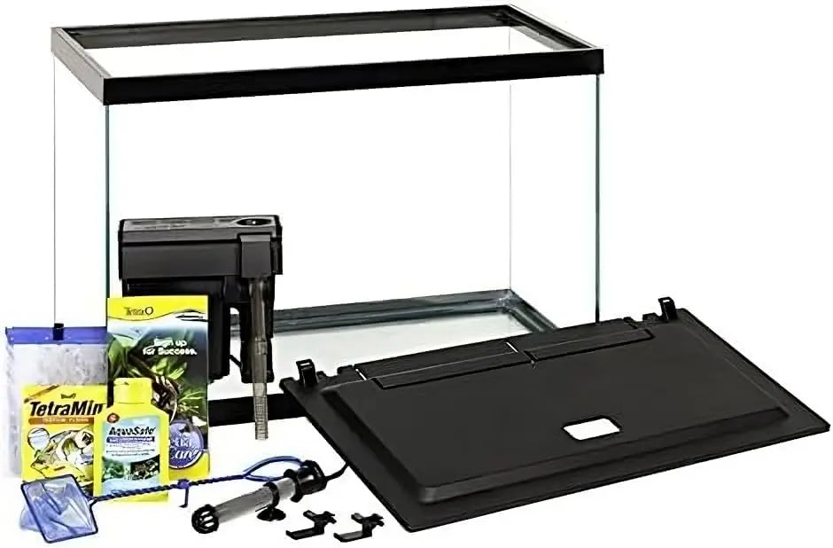 20 Gallon Vibrant Aquarium Setup