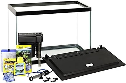 20 Gallon Vibrant Aquarium Setup